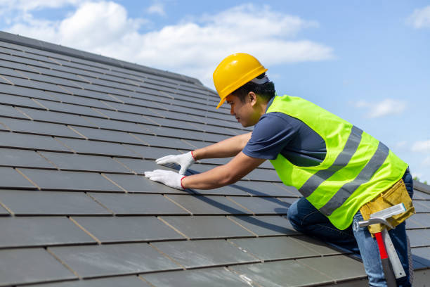 Best Roof Gutter Cleaning  in Mullins, SC